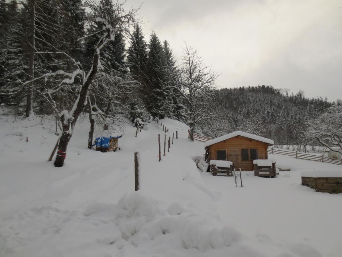 Landhaus Ziegelstadel Windischgarsten Exterior foto