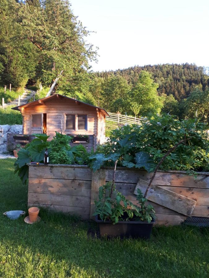 Apartamento Landhaus Ziegelstadel Windischgarsten Exterior foto